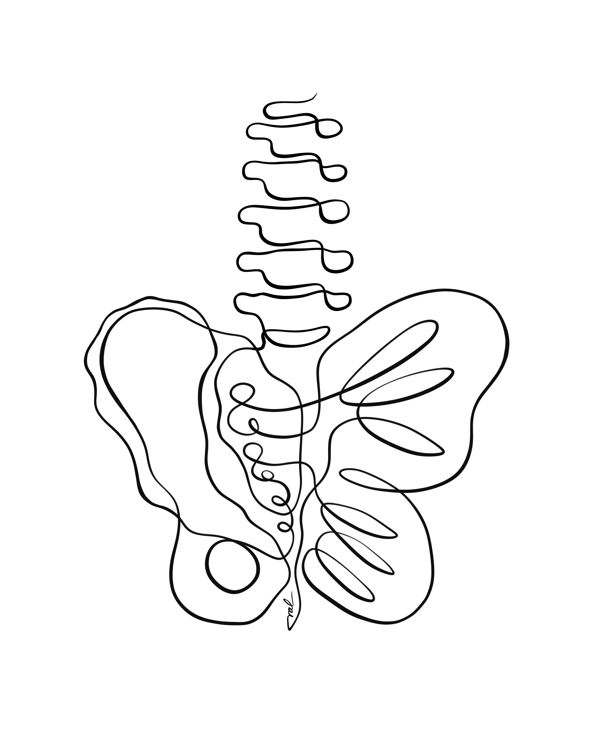 Beckenboden Workshop – <br>Starke Mitte, Verbindung schaffen